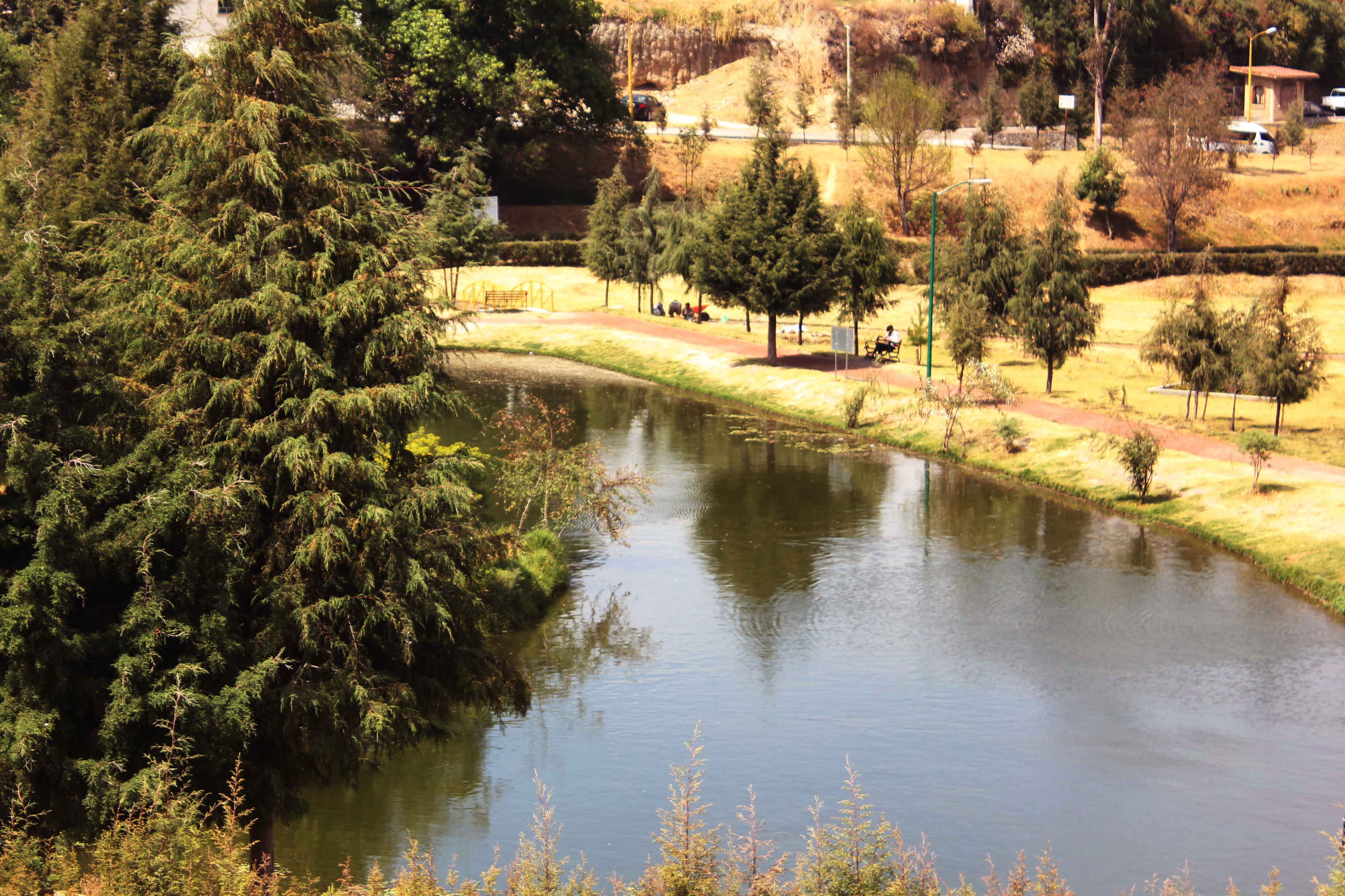 Preserva CGE áreas naturales de Tlaxcala